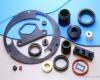 Hydraulic Seals